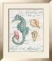 Centuria Seahorse by Chad Barrett Limited Edition Print