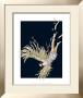 Icarus by Alan Baker Limited Edition Print