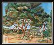 The Stone Pine by Andre Derain Limited Edition Print