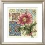 Rose Chintz I by Chariklia Zarris Limited Edition Print