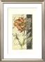 Floral Engraving I by Ethan Harper Limited Edition Print