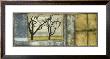 Tandem Trees Iv by Jennifer Goldberger Limited Edition Print