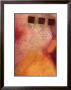 Amber Study I by Herbert Davis Limited Edition Pricing Art Print