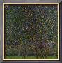 Pear Tree by Gustav Klimt Limited Edition Print