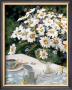 Breakfasting With Daisies by Liliane Fournier Limited Edition Print