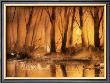 Golden Sunsets by Jean-Yves Guindon Limited Edition Pricing Art Print