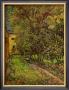 The Garden Of Saint-Paul Hospital by Vincent Van Gogh Limited Edition Print
