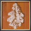 Autumn Leaves Ii by M. Della Casa Limited Edition Print