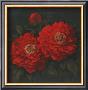 Red Carnation With Border Ii by T. C. Chiu Limited Edition Pricing Art Print