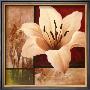 Lily Collage by T. C. Chiu Limited Edition Pricing Art Print