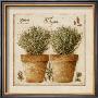 Herbes De Provence, Thym by Pascal Cessou Limited Edition Print