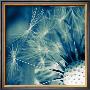 Flofy by Jean-Francois Dupuis Limited Edition Pricing Art Print