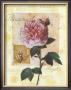 Rosa Regalis by G.P. Mepas Limited Edition Print