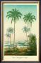 Coco Palm by Ch. Lemaire Limited Edition Print