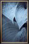 Evolution by Jean-Francois Dupuis Limited Edition Print