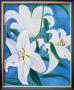 Lillies by Mary Stubberfield Limited Edition Pricing Art Print