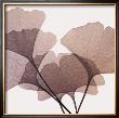 Ginkgo Leaves I by Steven N. Meyers Limited Edition Print
