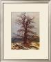 Oak In The Snow by Caspar David Friedrich Limited Edition Pricing Art Print