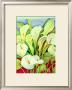 Arum Lilies by Lillian Delevoryas Limited Edition Print