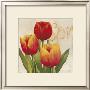 Orange And Red Tulips by Julio Sierra Limited Edition Print