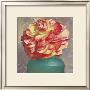 Floral Study Iv by Sally Wetherby Limited Edition Print