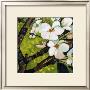 Blossom Rhapsody Ii by Mary Mclorn Valle Limited Edition Print