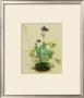 Columbine by Albrecht Dürer Limited Edition Pricing Art Print