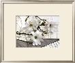 Magnolia Et Lettres by Catherine Beyler Limited Edition Print