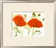 Poppies In The Wind Ii by Marthe Limited Edition Pricing Art Print