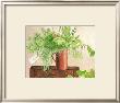 Herbs In A Can by Ina Van Toor Limited Edition Print