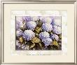 Blue Hydrangea by Peggy Thatch Sibley Limited Edition Print