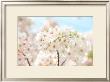 Japanese Cherry Blossom, Sakura Ii by Ryuji Adachi Limited Edition Pricing Art Print