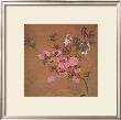 Cherry Blossoms And Wild Roses by Yun Shou-P'ing Limited Edition Pricing Art Print