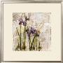 Spring Mist I by Dennis Carney Limited Edition Print