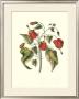 Jenna's Flowers I by Charles Francois Sellier Limited Edition Pricing Art Print