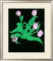 Tulips by Cal Hoy Limited Edition Print