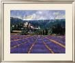 Lilac Fields by Paul Curtis Limited Edition Print