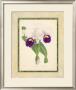 Fitch Orchid I by J. Nugent Fitch Limited Edition Pricing Art Print