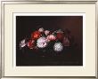 Camellias by Johan Laurentz Jensen Limited Edition Pricing Art Print