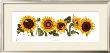 Sunflowers by Patricia Shilling-Stewart Limited Edition Print