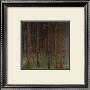 Pine Forest by Gustav Klimt Limited Edition Print