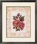 Fleur Du Jour, Rose by Jerianne Van Dijk Limited Edition Pricing Art Print