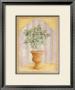 Fig Niche by Lisa Canney Chesaux Limited Edition Print