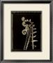 Violin Fern by Lynne Jaeger Weinstein Limited Edition Pricing Art Print