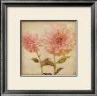 Dynamite Dahlia Ii by Linda Maron Limited Edition Print