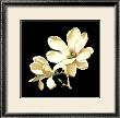 Midnight Magnolias I by Dussurgey Limited Edition Pricing Art Print