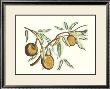 Botanical Ii by Van Rheet Limited Edition Print