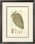 Crackled Woodland Pinecones I by Silva Limited Edition Print