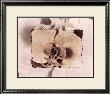 Orchid by Dick & Diane Stefanich Limited Edition Print