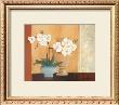 Weibe Orchideen Ii by Juliane Jahn Limited Edition Pricing Art Print